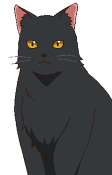 Anko-san