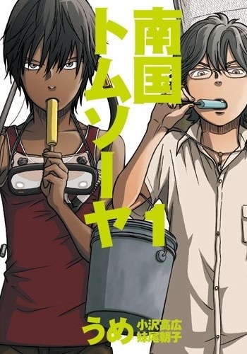 Nankoku Tom Sawyer cover