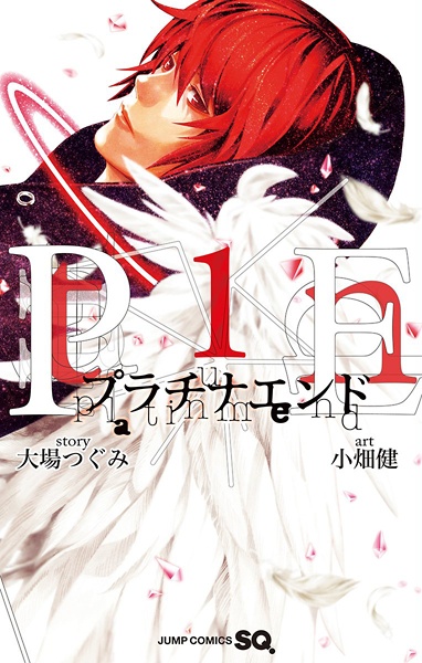 Platinum End cover