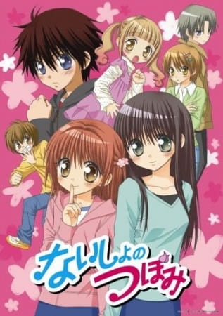Naisho no Tsubomi poster