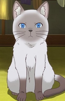 Kama