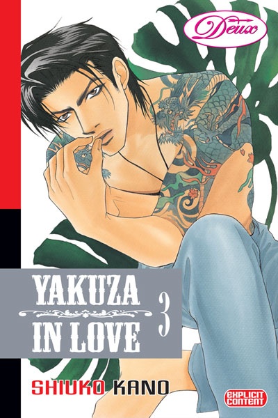Hanagumi Ninkyouden cover