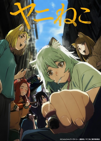 Chainsmoker Cat poster