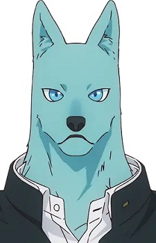 Hidaka, Tsunagu