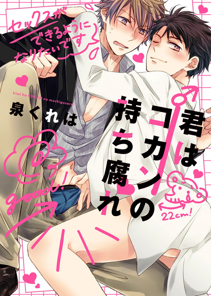 Kimi wa Kokan no Mochigusare cover