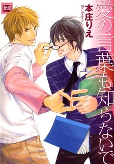Ai no Kotoba mo Shiranaide cover