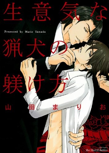 Namaiki na Ryouken no Shitsukekata cover