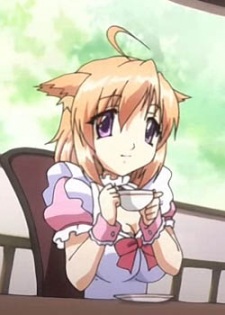 Miyamae, Mia