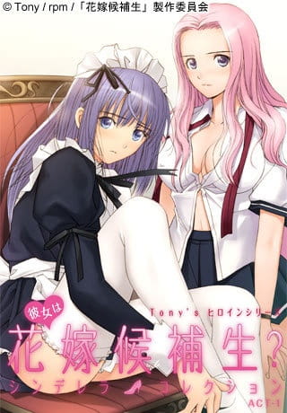 Tony's Heroine Series: Kanojo wa Hanayome Kouhosei? Cinderella Collection poster