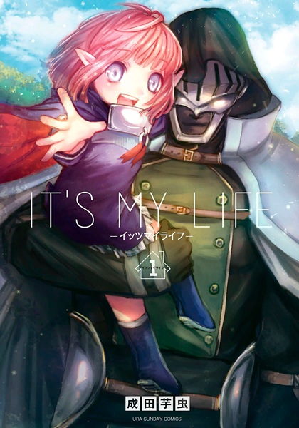 It's My Life cover
