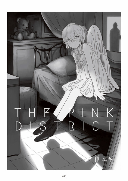 The Pink District cover