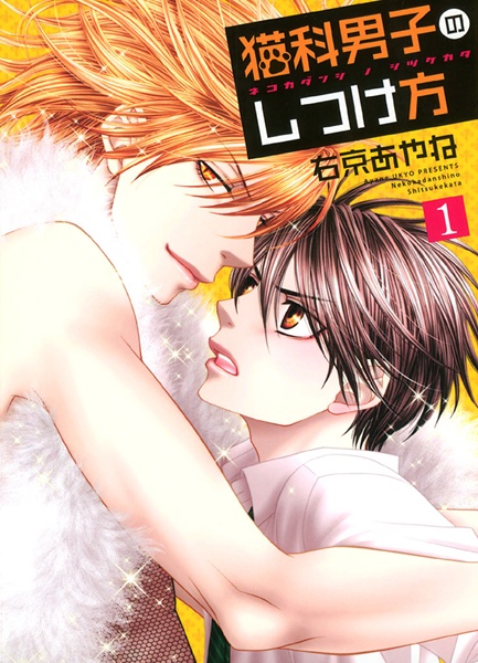Nekoka Danshi no Shitsukekata cover