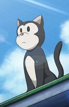 Black Cat