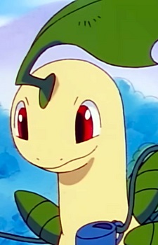 Bayleef