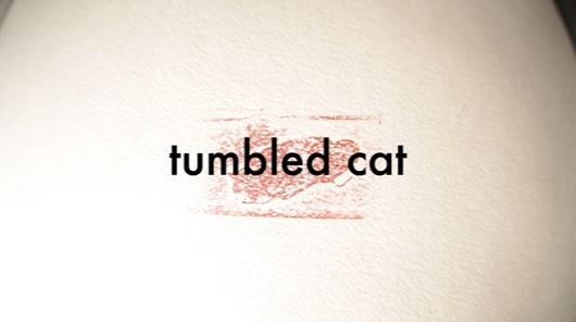 Tumbled Cat poster