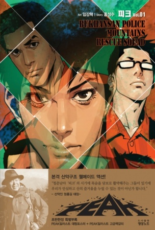 Peak cover