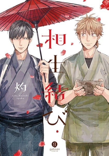 Aioimusubi cover