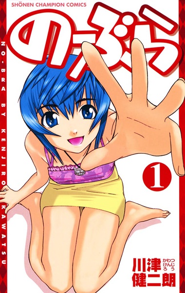 No Bra cover