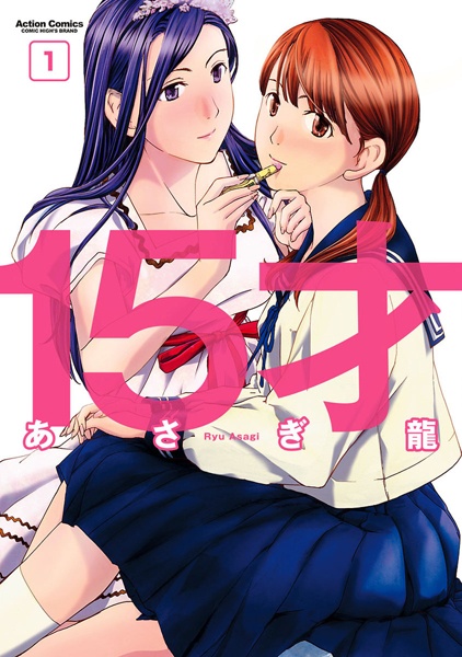 15-sai cover