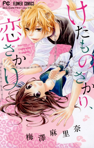 Kedamonozakari, Koizakari cover