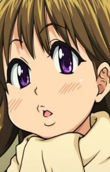 Sayama, Saya