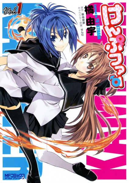 Kämpfer cover