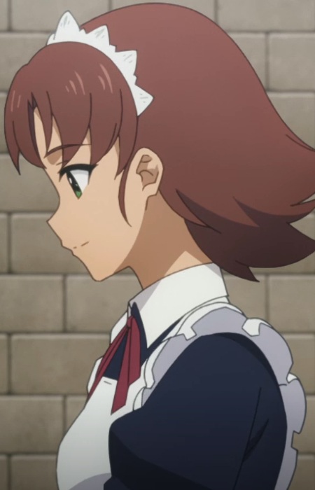 Dustiness Family Maid B