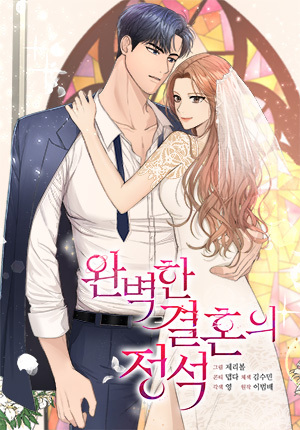 Perfect Marriage Revenge cover