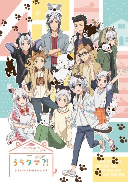 Uchi Tama?! Uchi no Tama Shirimasen ka? poster