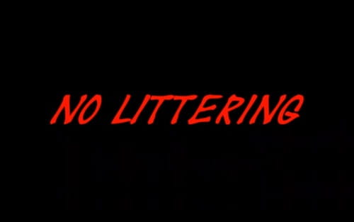 No Littering poster