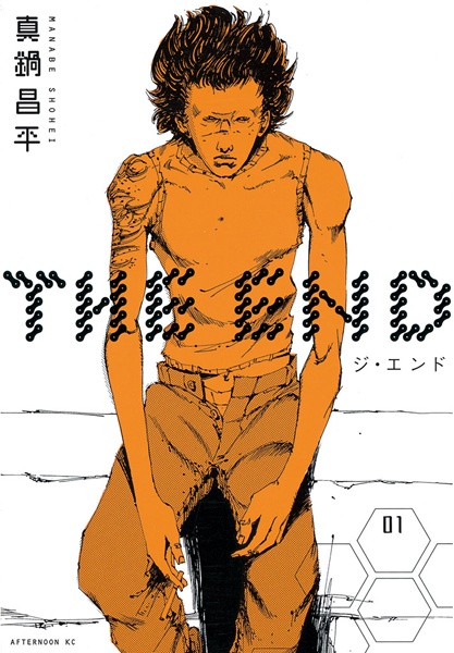 The End cover
