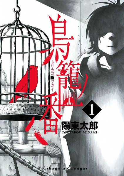 Birdcage Castle cover
