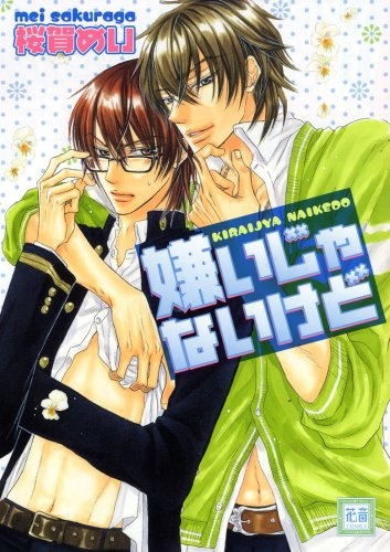 Kirai ja Nai kedo cover