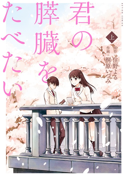 Kimi no Suizou wo Tabetai cover