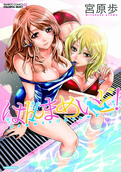 Hammer Maid! cover