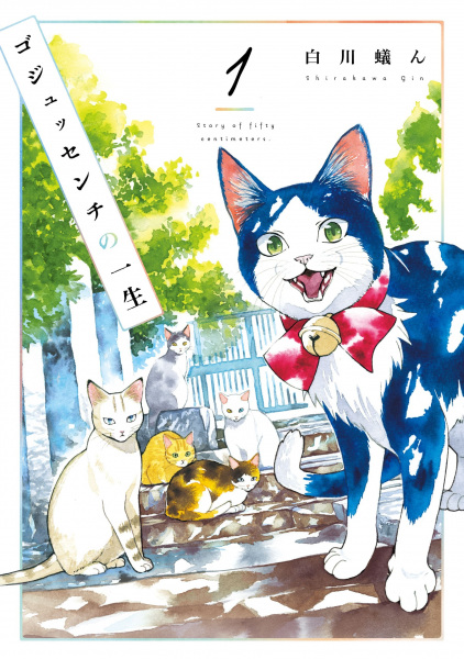 A Story of Seven Lives cover