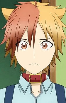 Akisame, Tamao