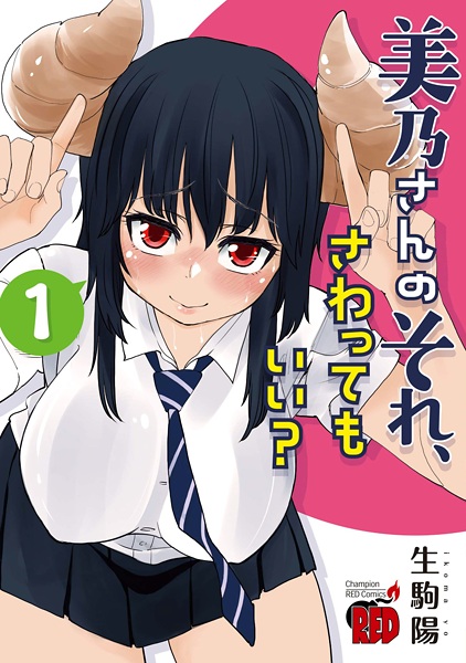 Mino-san no Sore, Sawattemo Ii? cover