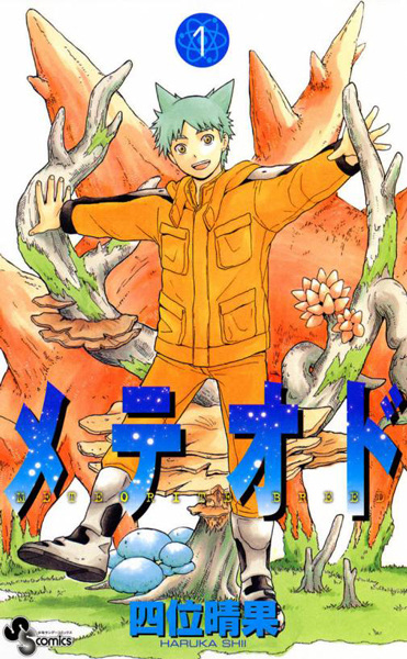 Meteor cover