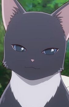 Gekkon