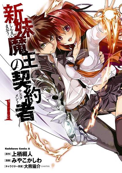 Shinmai Maou no Testament cover