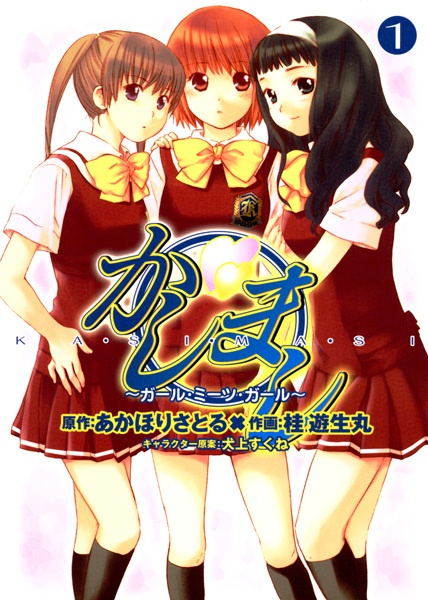 Kashimashi: Girl Meets Girl cover