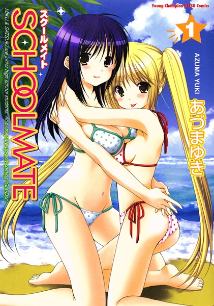Schoolmate cover