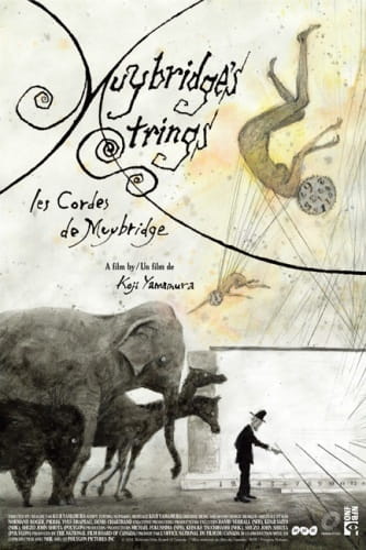 Muybridge's Strings poster