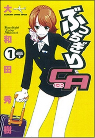 Bucchigiri Cabin Attendant cover