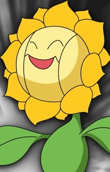 Kimawari