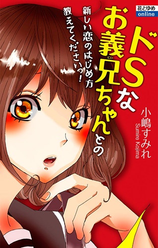 Do S na Oniichan to no Atarashii Koi no Hajimekata Oshiete Kudasai! cover