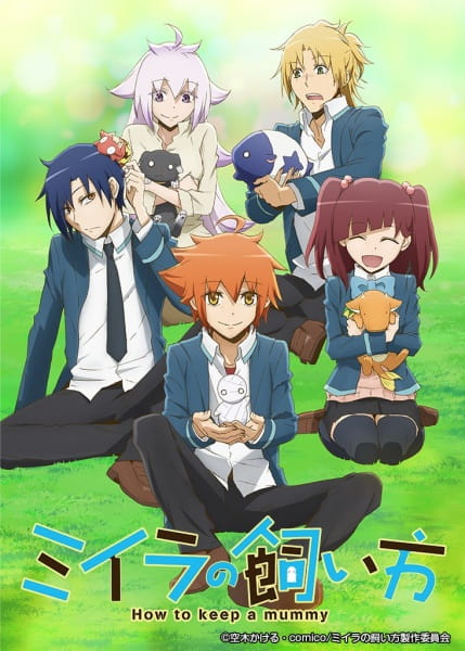 Miira no Kaikata poster