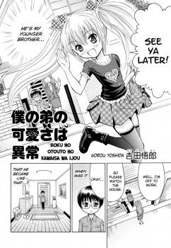 Boku no Otouto no Kawaisa wa Ijou cover