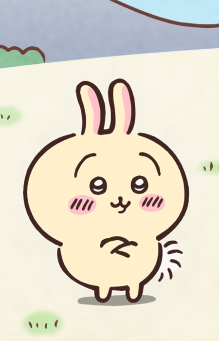 Usagi